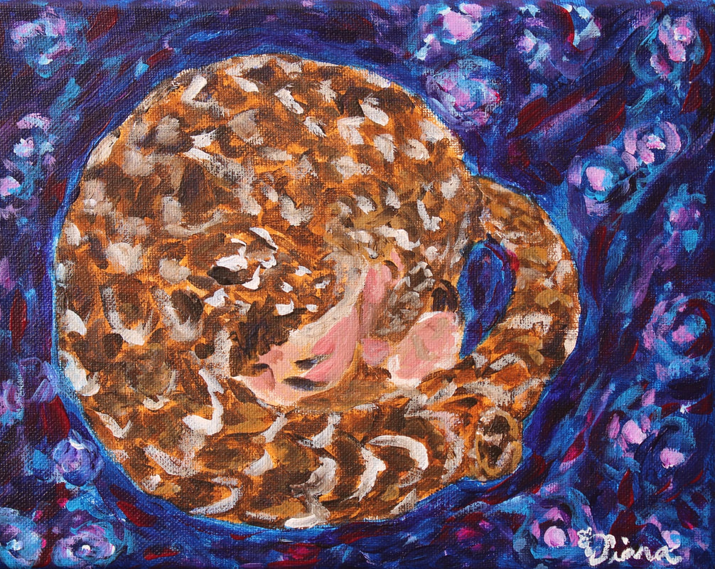 El sueño perdido de un pangolin en las nubes