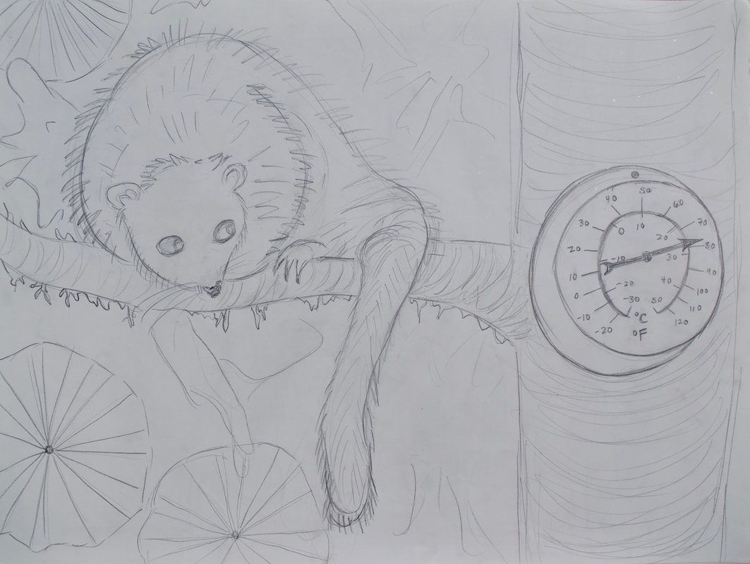 Possum up a Gum Tree Prototype